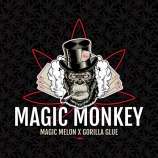 Elev8 Seeds Magic Monkey