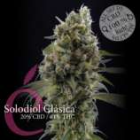 Élite Seeds Solodiol Clasica