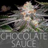 Exclusive Seeds Chocolate Sauce