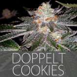 Exclusive Seeds Doppelt Cookies