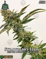 Exotic Genetix Strawberry Float