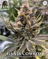 Ganja Farmer Seed Company Ganja Cowboy