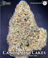 Gas Reaper Genetics Candy MintCakes