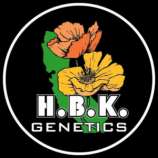 H.B.K. Genetics Fireman Jack
