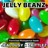 Happy Bird Seeds Jelly Beanz