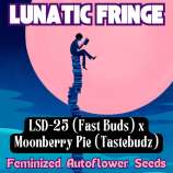 Happy Bird Seeds Lunatic Fringe