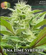 Hawaiian Budline Pina Lime Syruuup