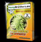 Hempbrothers Energy Rush