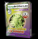 Hempbrothers Low Afghan Automatic