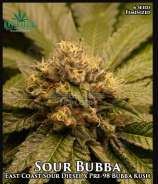 Katsu Seeds Sour Bubba