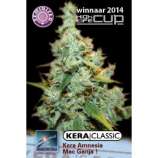 Kera Seeds Amnesia Mac Ganja