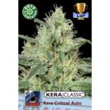 Kera Seeds Critical Auto