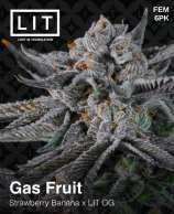 Lit Farms Gas Fruit