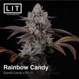 Lit Farms Rainbow Candy