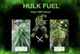 MadCat's Backyard Stash Hulk Fuel