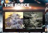 New420Guy Seeds The Force