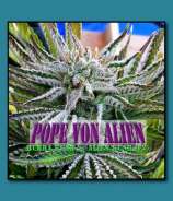 Pacific NW Roots Pope Von Alien