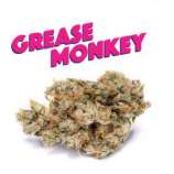 Phat Panda Grease Monkey