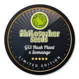 Philosopher Seeds G13 Hash Plant x Somango