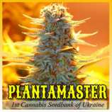 Plantamaster Seeds Gagarin Auto