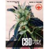 Pure Seeds CBD Pure