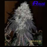 Realpotency Psylock OG