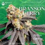 Reberth Genetics Branson Berry