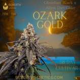 Reberth Genetics Ozark Gold
