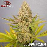 RedEyed Genetics Bundy OG