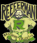 Reefermans Seeds Blueberry Indica