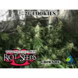 Riot Seeds 26 Cookies