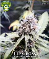 Seattle Chronic Seeds Lip Gloss