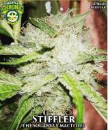 Seattle Chronic Seeds Stiffler