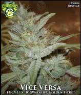 Seattle Chronic Seeds Vice Versa