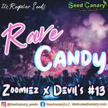 Seed Canary Rave Candy