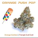 Seed Junky Genetics Orange Push Pop