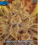 Sin City Seeds Ghouls N Ghosts