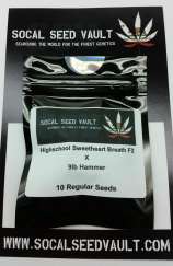 Socal Seed Vault High School Sweetheart Breath F2 x 9lb Hammer