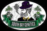 South Bay Genetics Sweet Fire