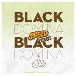 Speed Seeds Black Domina x Black Domina