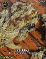 Swamp Boys Seeds Shoki