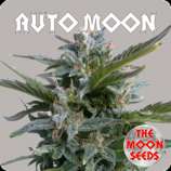 The Moon Seeds Auto Moon