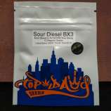 Top Dawg Seeds Sour Diesel BX3