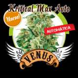 Venus Genetics Kritical Max Auto