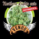 Venus Genetics Northern Lights auto