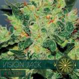 Vision Seeds Vision Jack