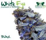 Vulkania Seeds White Fya