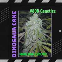 808 Genetics Dinosaur Cake - foto de SquallyGrowzit