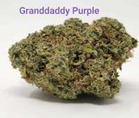 Blim Burn Seeds Granddaddy Purple - foto de TheHappyChameleon