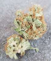 Imagen de Orangetree (Chem Berry OG)